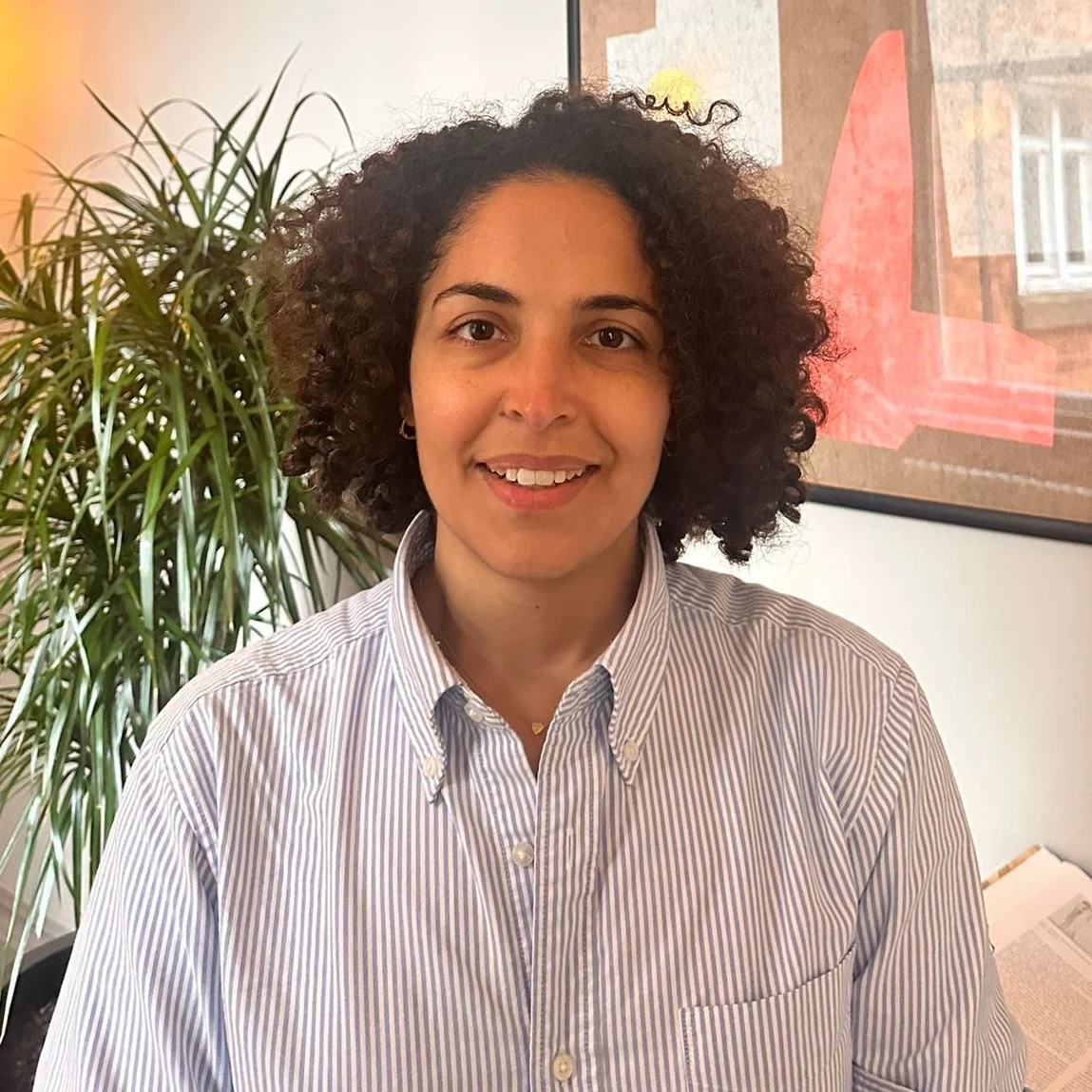 Arige Hallug hive projects